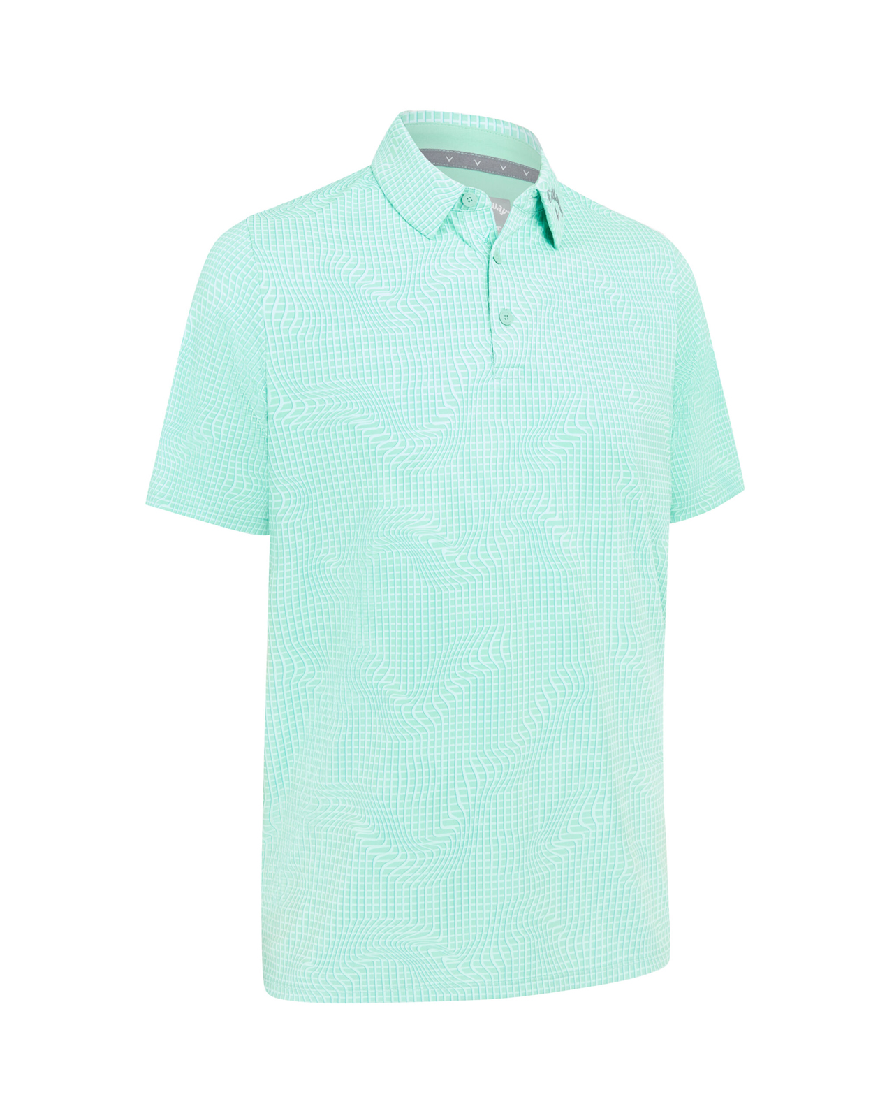Warped Gingham Print, Polo, Herren - neptune_green
