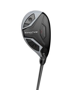 Quantum Max, Hybrid, Herren