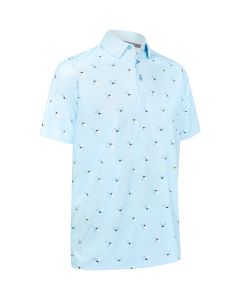 25791:arctic__paradise